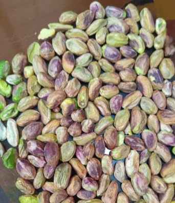 مغز پسته اکبری سبز + تامین مستقیم
