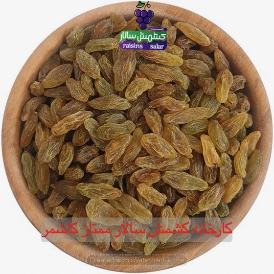 خرید عمده کشمش سبز قلمی
