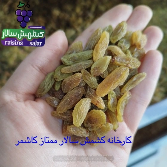 تصویر 3 از خرید عمده کشمش سبز قلمی