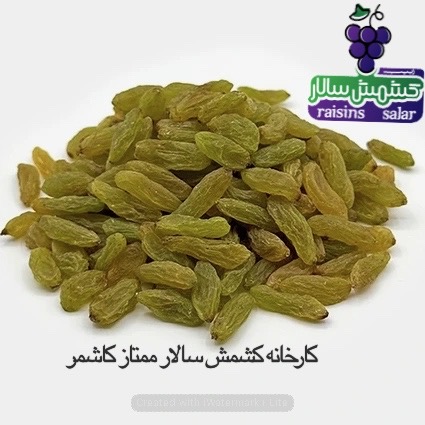 خرید عمده کشمش سبز قلمی