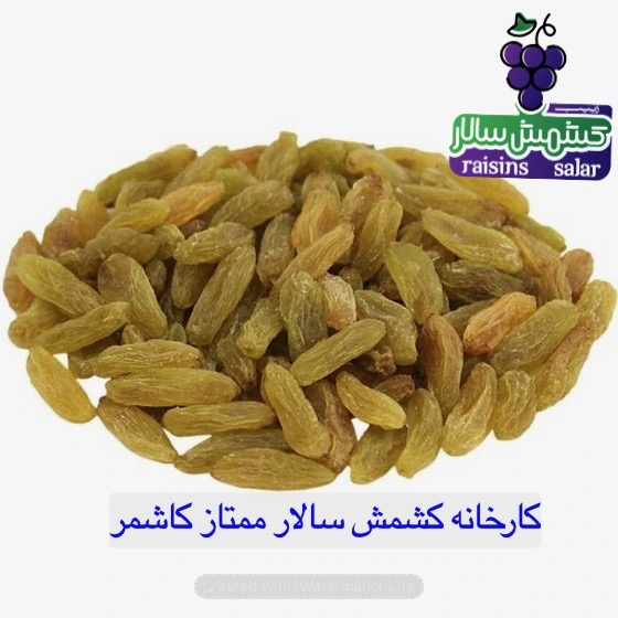 تصویر 3 از فروش کشمش سبز قلمی درجه یک