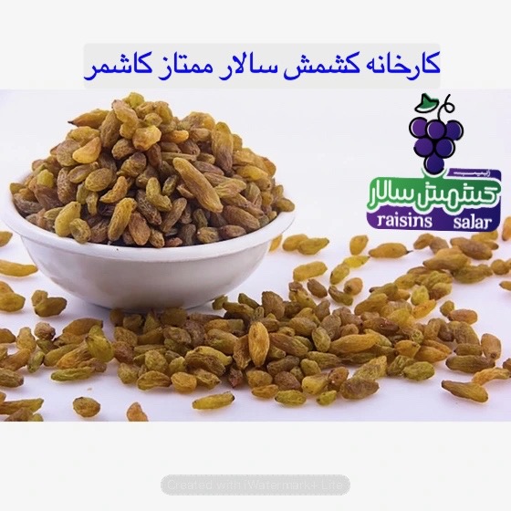 تصویر 3 از تامین کننده کشمش سبز کاشمر