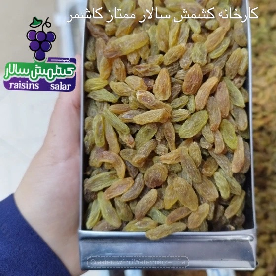 تصویر 4 از تامین کننده کشمش سبز کاشمر