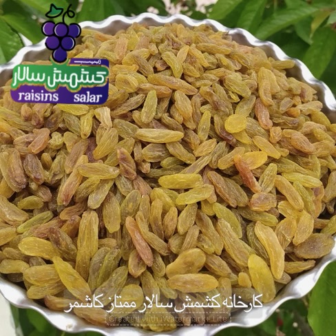 تصویر 6 از قیمت هر کیلو کشمش سبز قلمی