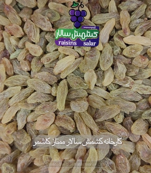 تصویر 5 از قیمت هر کیلو کشمش سبز قلمی