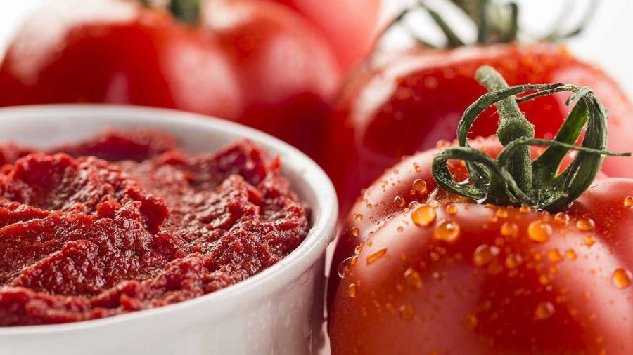 خرید کنسرو رب گوجه فرنگی با کیفیت + مناسب صادرات و توزیع عمده