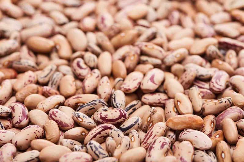 قیمت خرید لوبیا چیتی تازه شمال + فروش ویژه