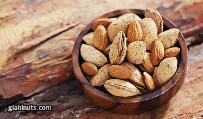خرید آجیل بادام