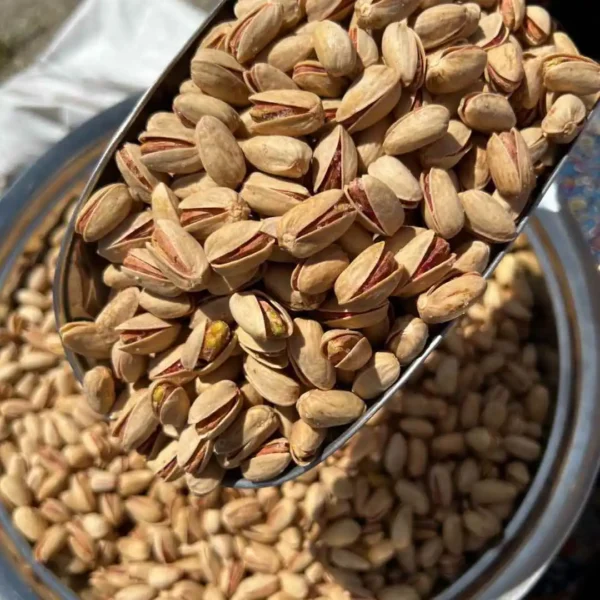 پسته اکبری درشت دانه + فروش رقابتی