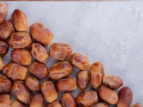 لیست قیمت خرمای زاهدی + خرید مستقیم