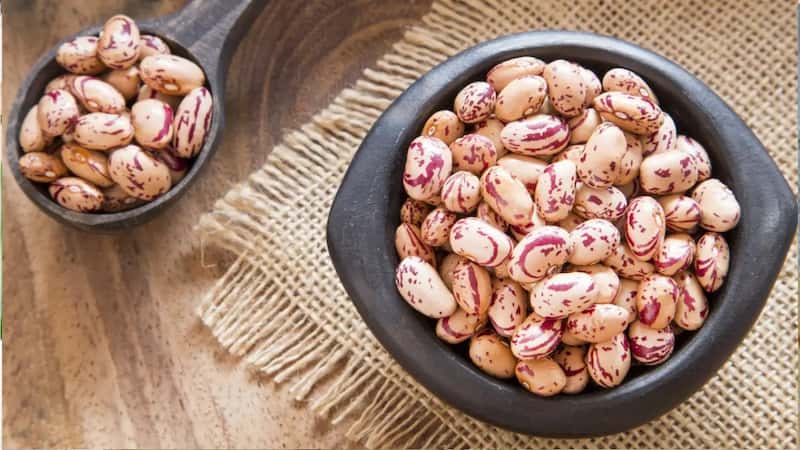 قیمت لوبیا چیتی ناپز + خرید باور نکردنی