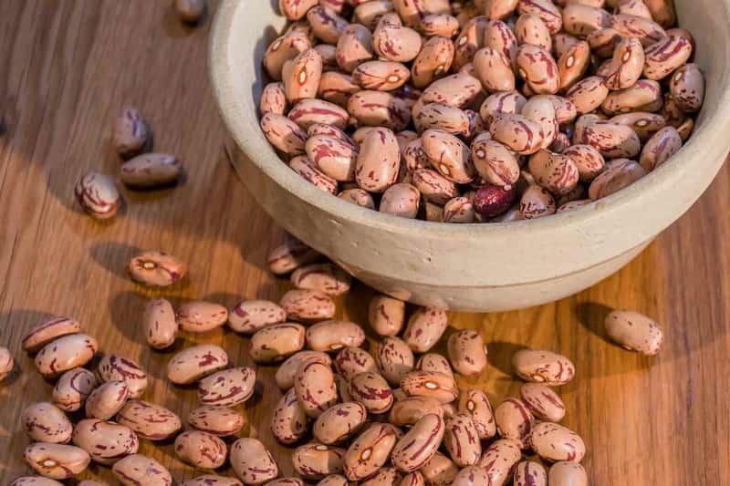 قیمت لوبیا چیتی بزرگ با کیفیت ارزان + خرید عمده