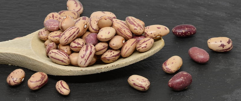 خرید و قیمت لوبیا چیتی تازه با پوست + فروش عمده