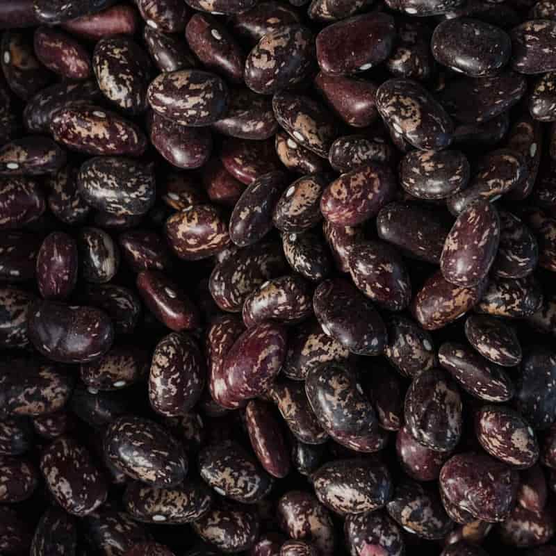 قیمت لوبیا چیتی سیاه با کیفیت ارزان + خرید عمده