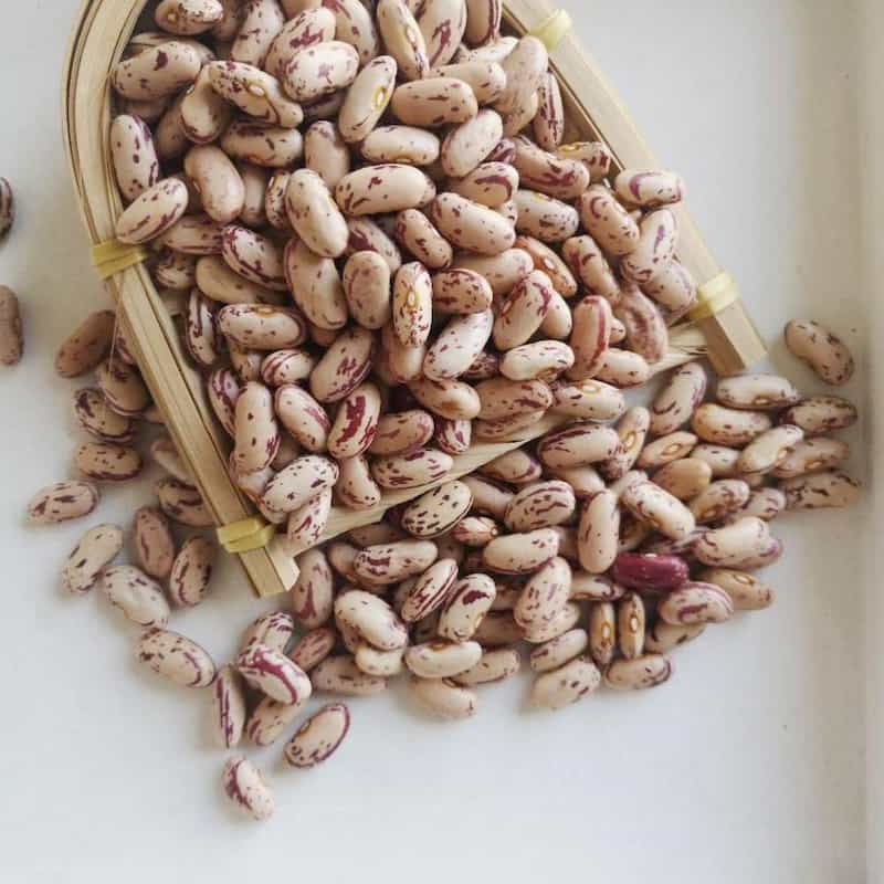 خرید و قیمت لوبیا چیتی بوجاری + فروش عمده