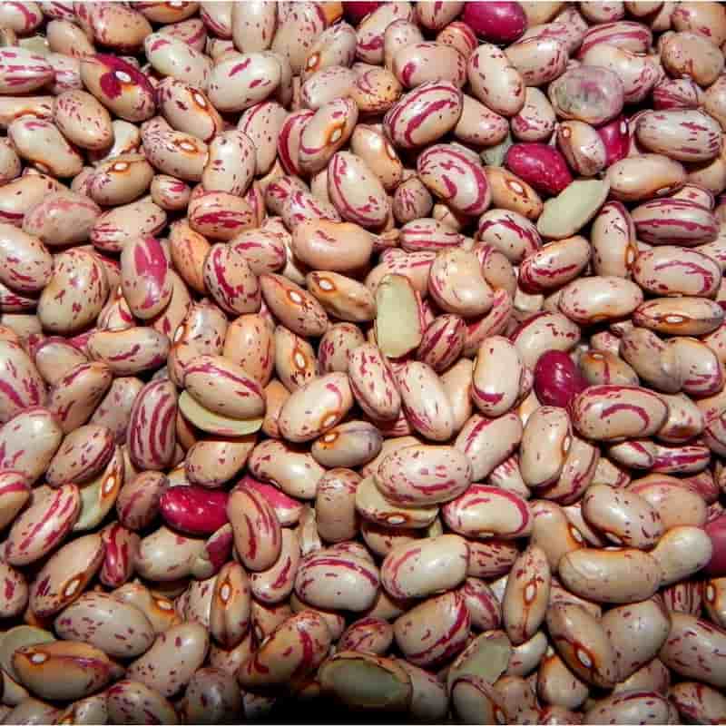 خرید و قیمت لوبیا چیتی گلستان ۹۰۰ گرمی + فروش عمده