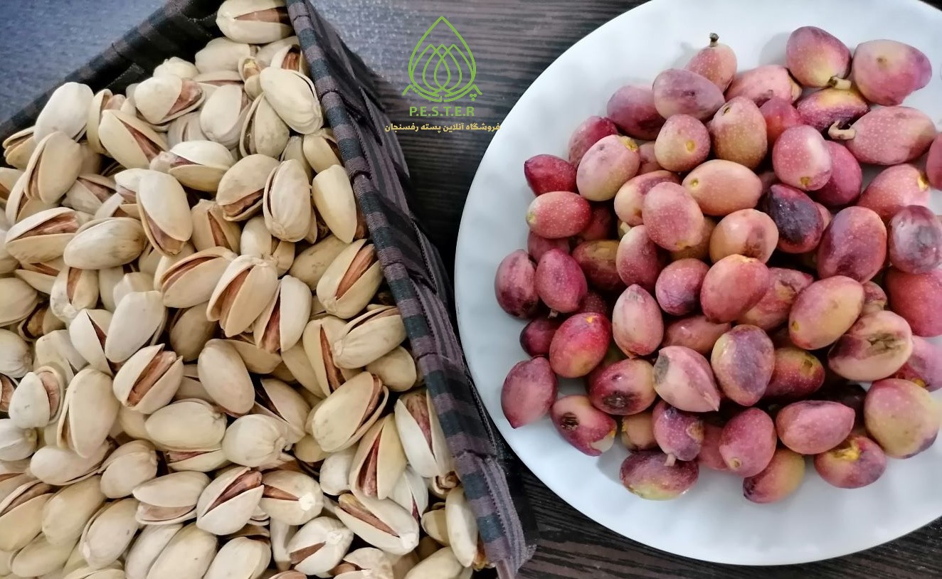 پسته رفسنجان مناسب برنهای اجیل + عرضه تجاری