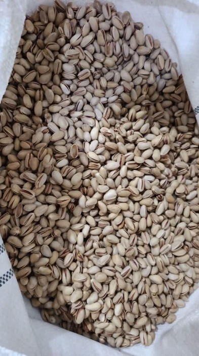 پسته اکبری + مناسب بسته بندی صادراتی خشکبار + خرید و قیمت عمده