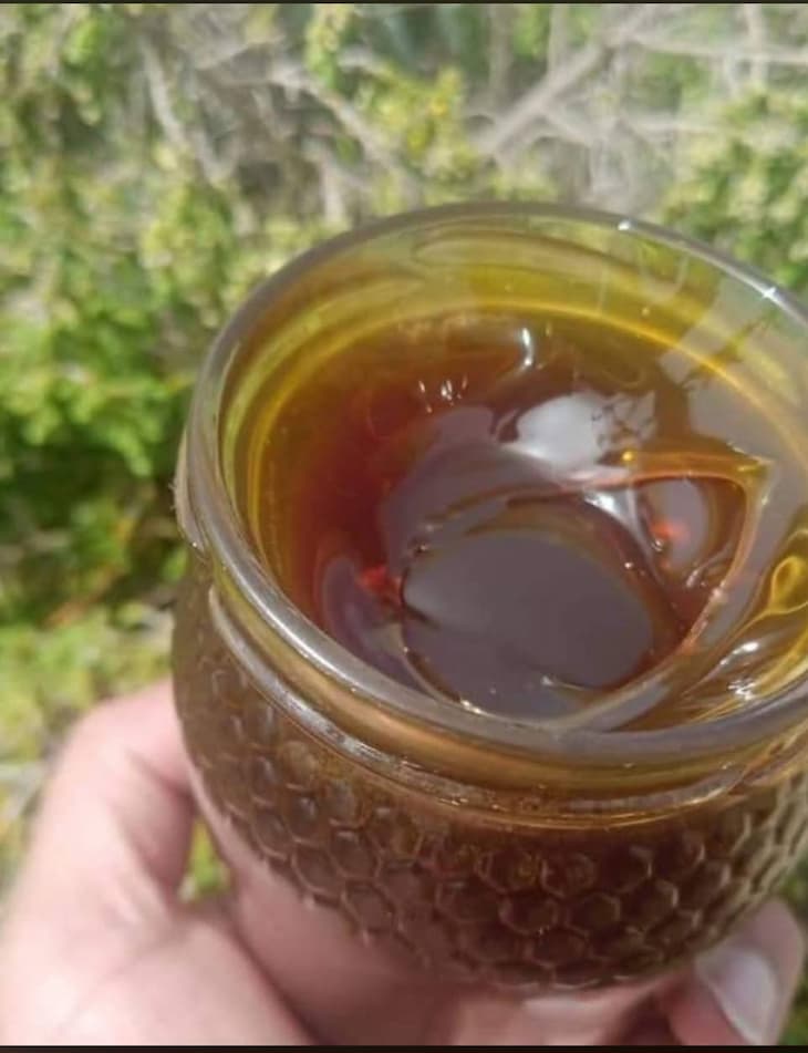 تصویر 3 از فروش ویژه اینترنتی عسل آویشن + قیمت عادلانه