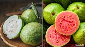 تصویر 4 از تأمین و فروش عمده پوره گواوا صادراتی