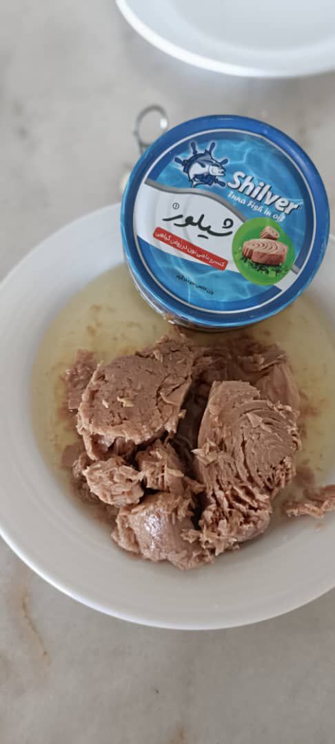 فروش عمده کنسرو ماهی شیلور