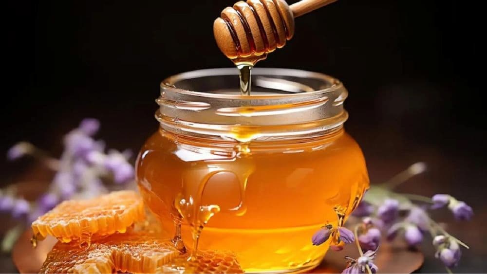 تصویر 5 از خرید عمده اینترنتی عسل بابونه هانیوا + قیمت مناسب