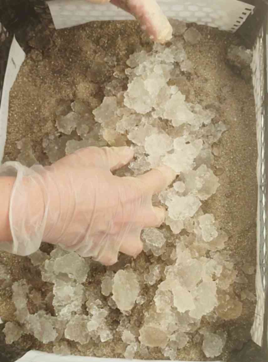 تصویر 1 از هیدروژل کشاورزی؛ جاذب آب برای ریشه گیاه