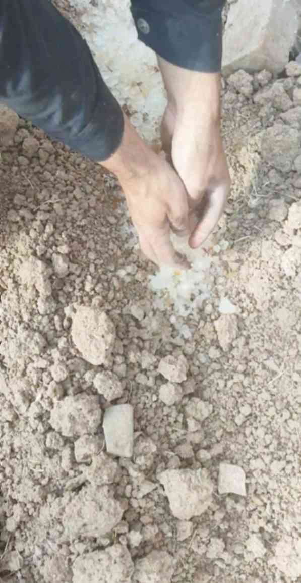 تصویر 1 از پلیمر سوپر جاذب کشاورزی؛ ذخیره‌کننده آب در خاک