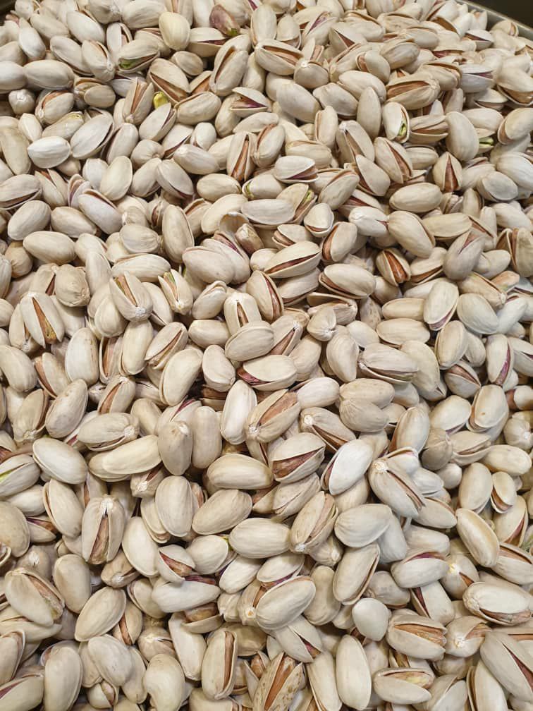 پسته اکبری با طعم طبیعی و ظاهر لوکس + قیمت و خرید عمده