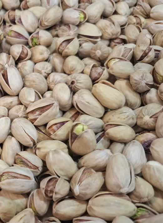 پسته کله قوچی خندان محصولی پر طرفدار در خرید عمده