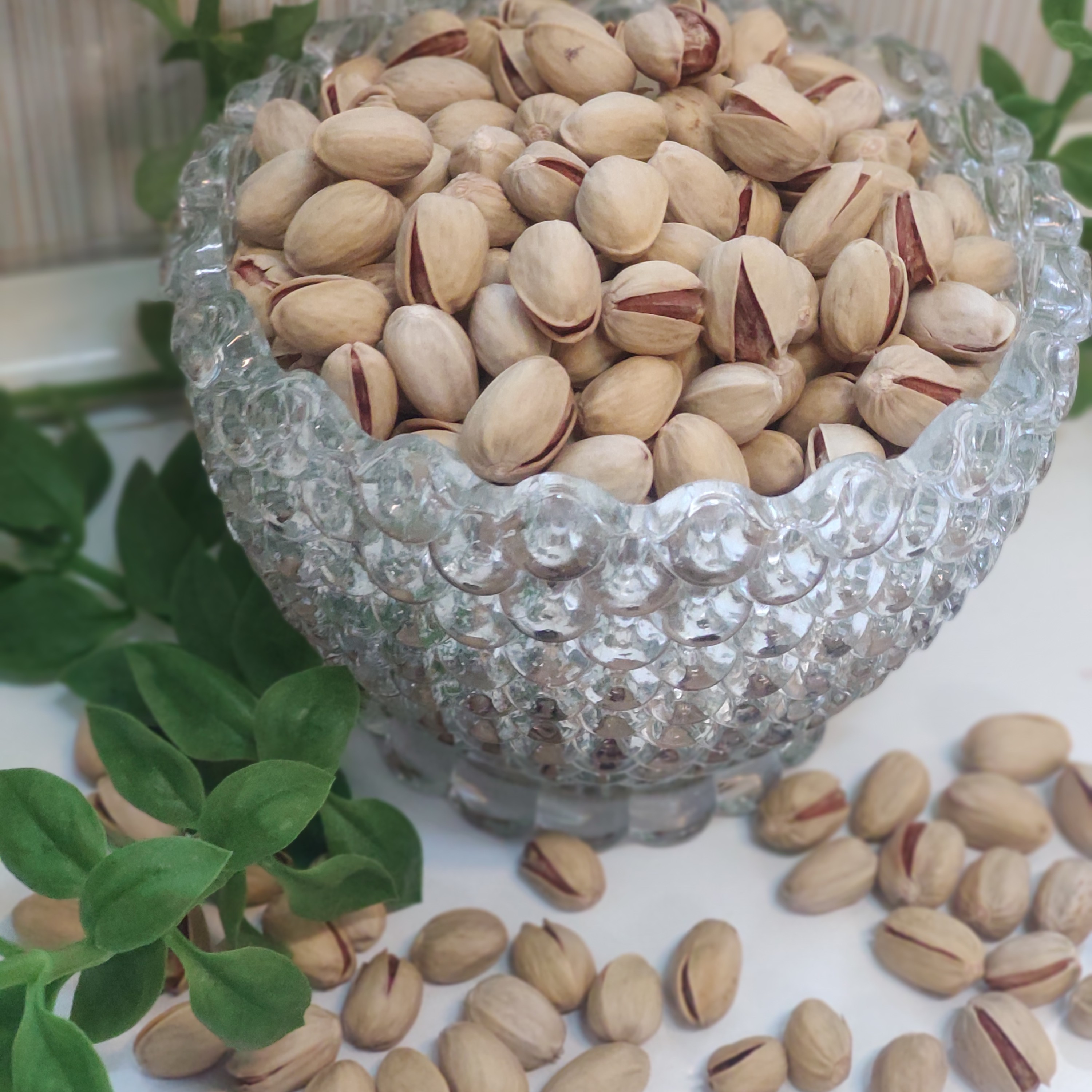 پسته کله قوچی خندان محصولی محبوب برای بازار های پرتقاضا + قیمت و خرید عمده