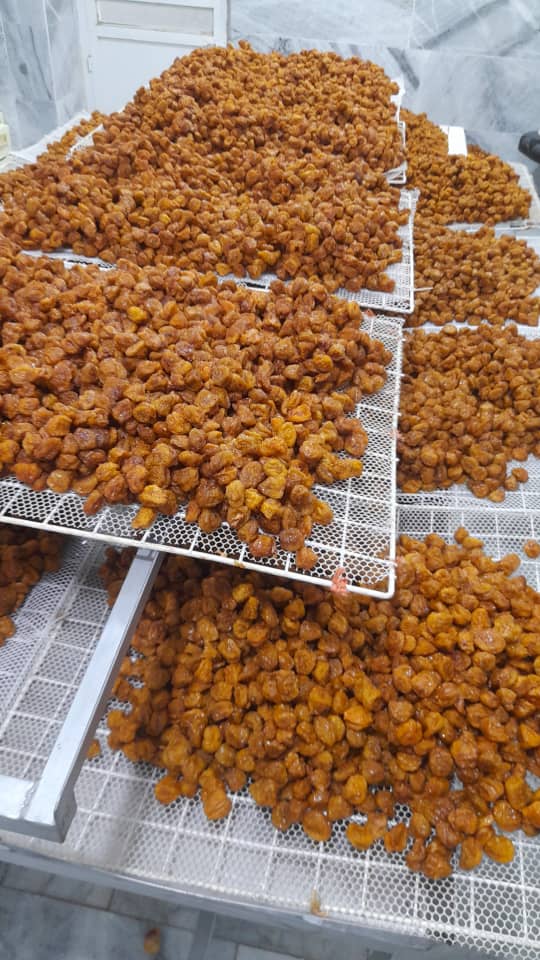 خرید و فروش انواع آلو خشک بخارا تازه
