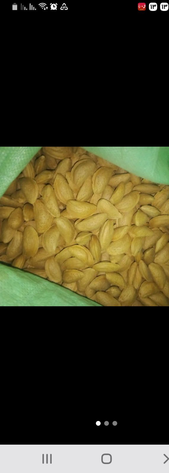 تصویر 5 از بادام مامایی مرغوب خرید به صرفه