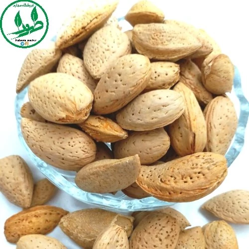 تصویر 4 از بادام سنگی مرغوب خرید به صرفه