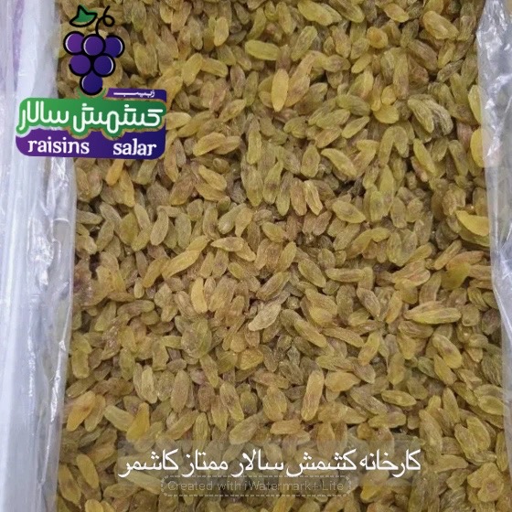 تصویر 5 از قیمت کشمش سبز پیکامی امروز