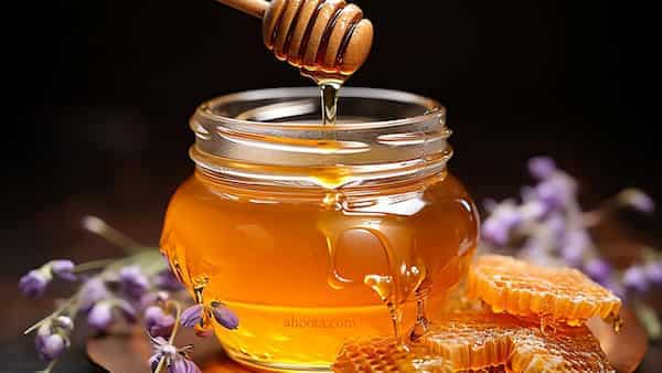 تصویر 4 از فروش مستقیم و عمده عسل گیاهی + قیمت ویژه