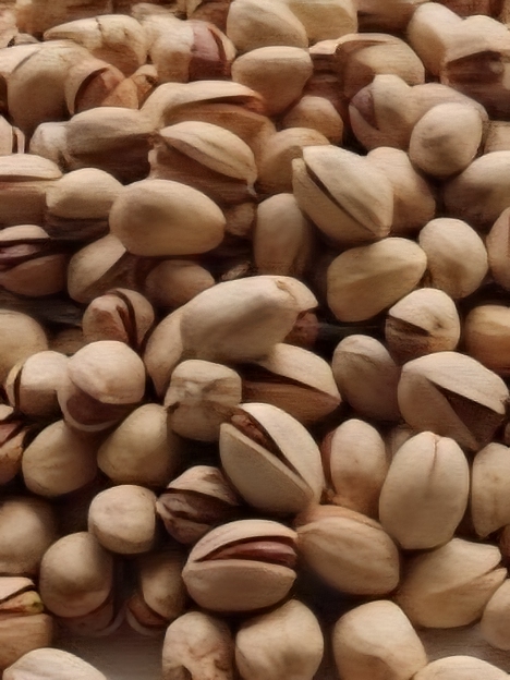 پسته فندقی دستچین ممتاز + کاربری تجاری + قیمت و خرید عمده