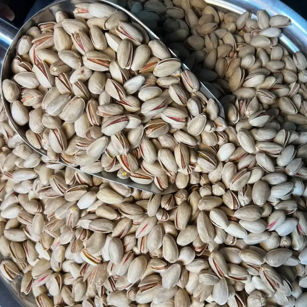پسته اکبری کشیده و درشت + جلوه ای لوکس در بسته بندی + قیمت و خرید عمده