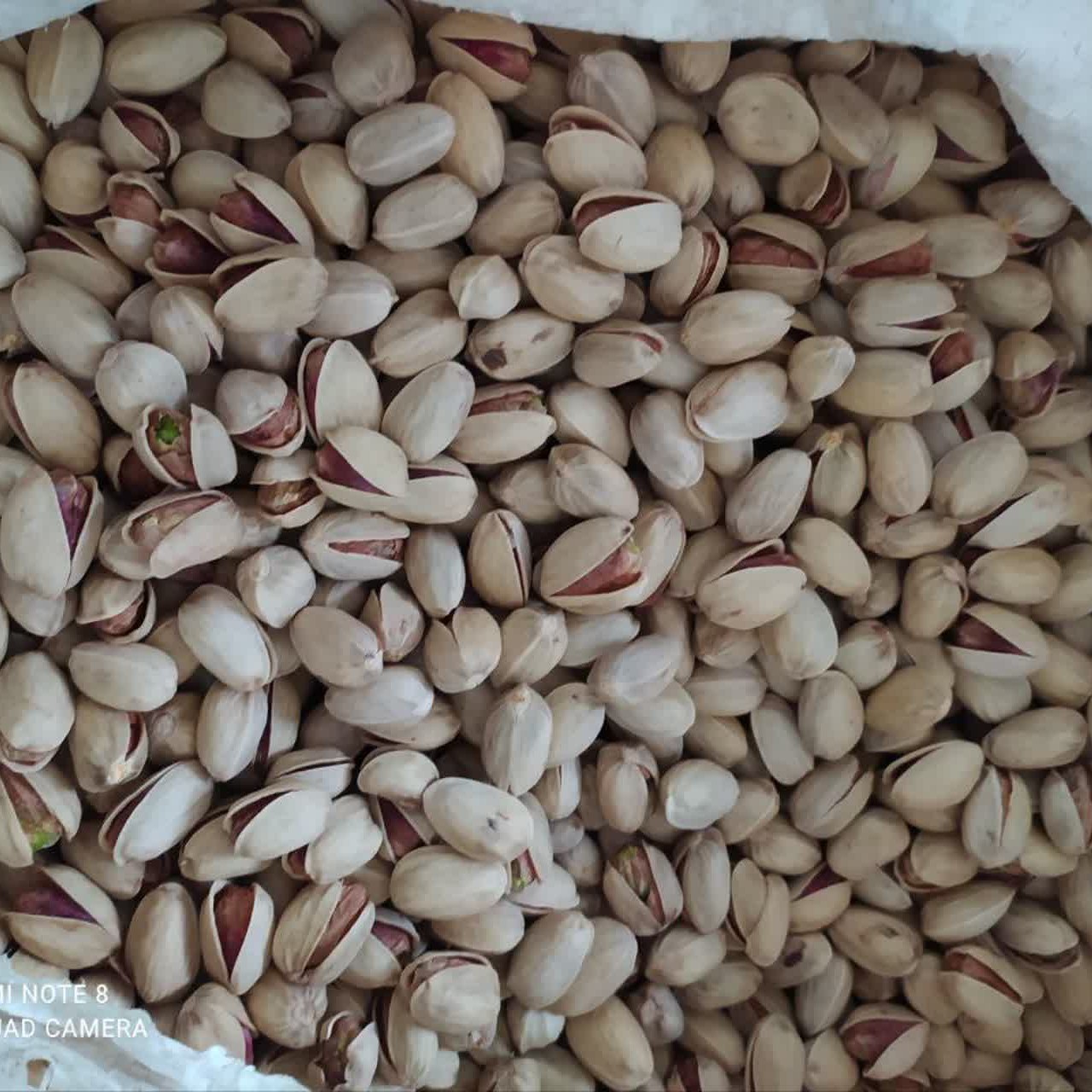پسته کله قوچی ممتاز رفسنجان + کیفیتی ماندگار + قیمت و خرید عمده