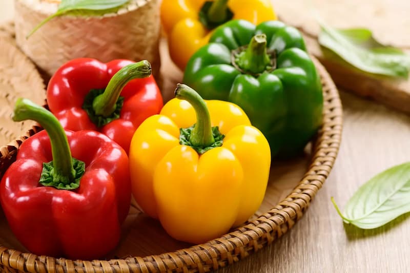 فلفل دلمه ای رنگی شیرین و ارگانیک عمده