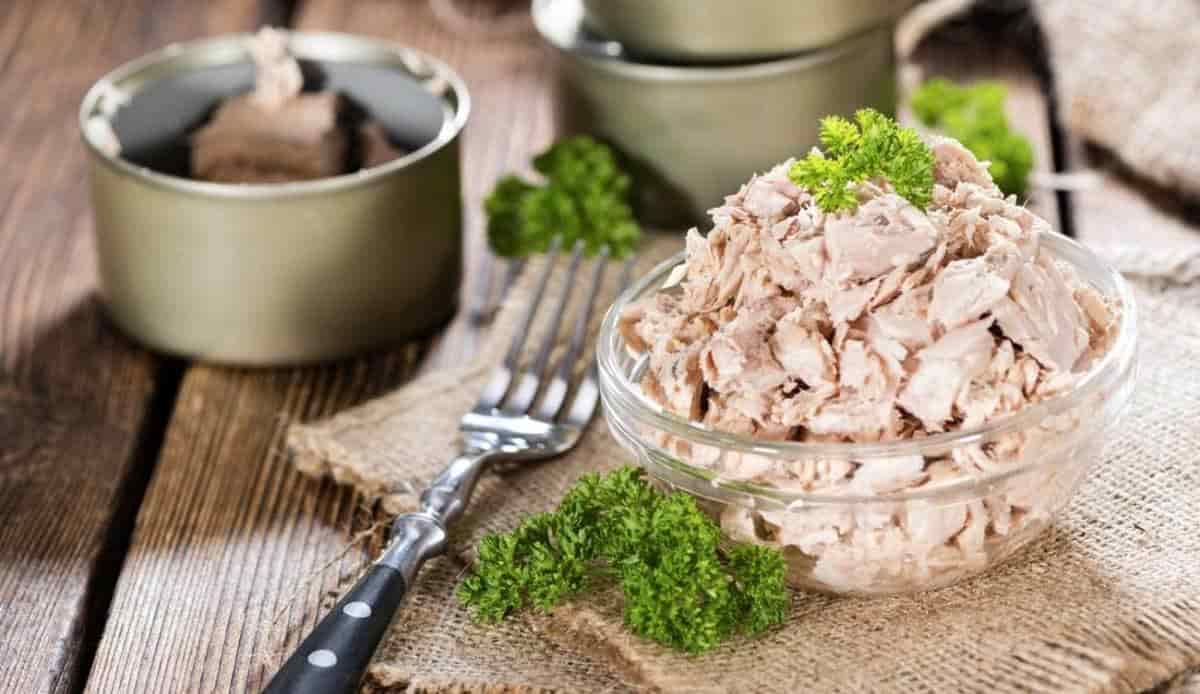 کنسرو تن ماهی خوب انتخابی ساده برای غذای سریع