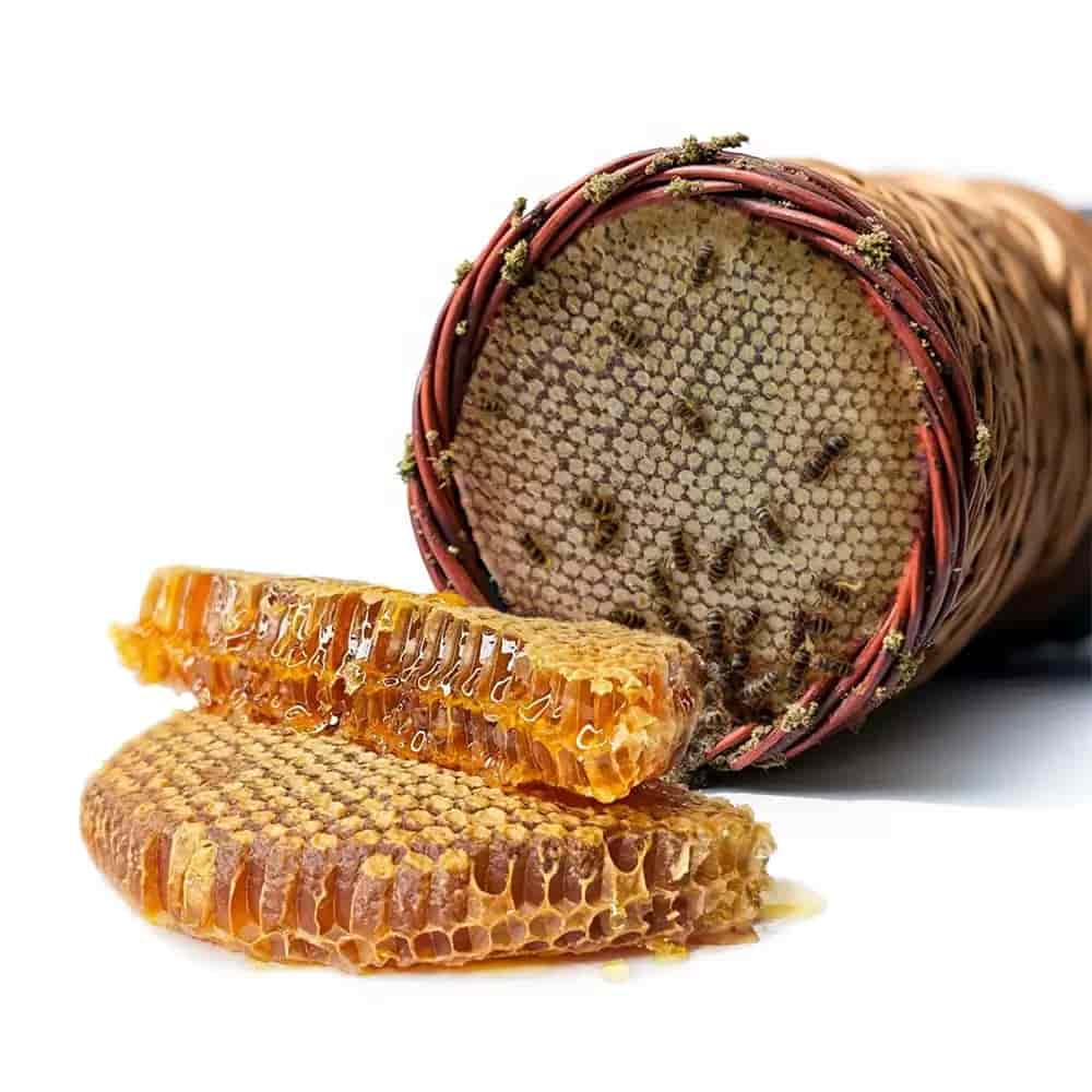عسل کوهی وحشی خالص با شهد گیاهان متنوع
