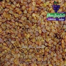 تصویر 4 از فروش کشمش تیزابی به ترکیه