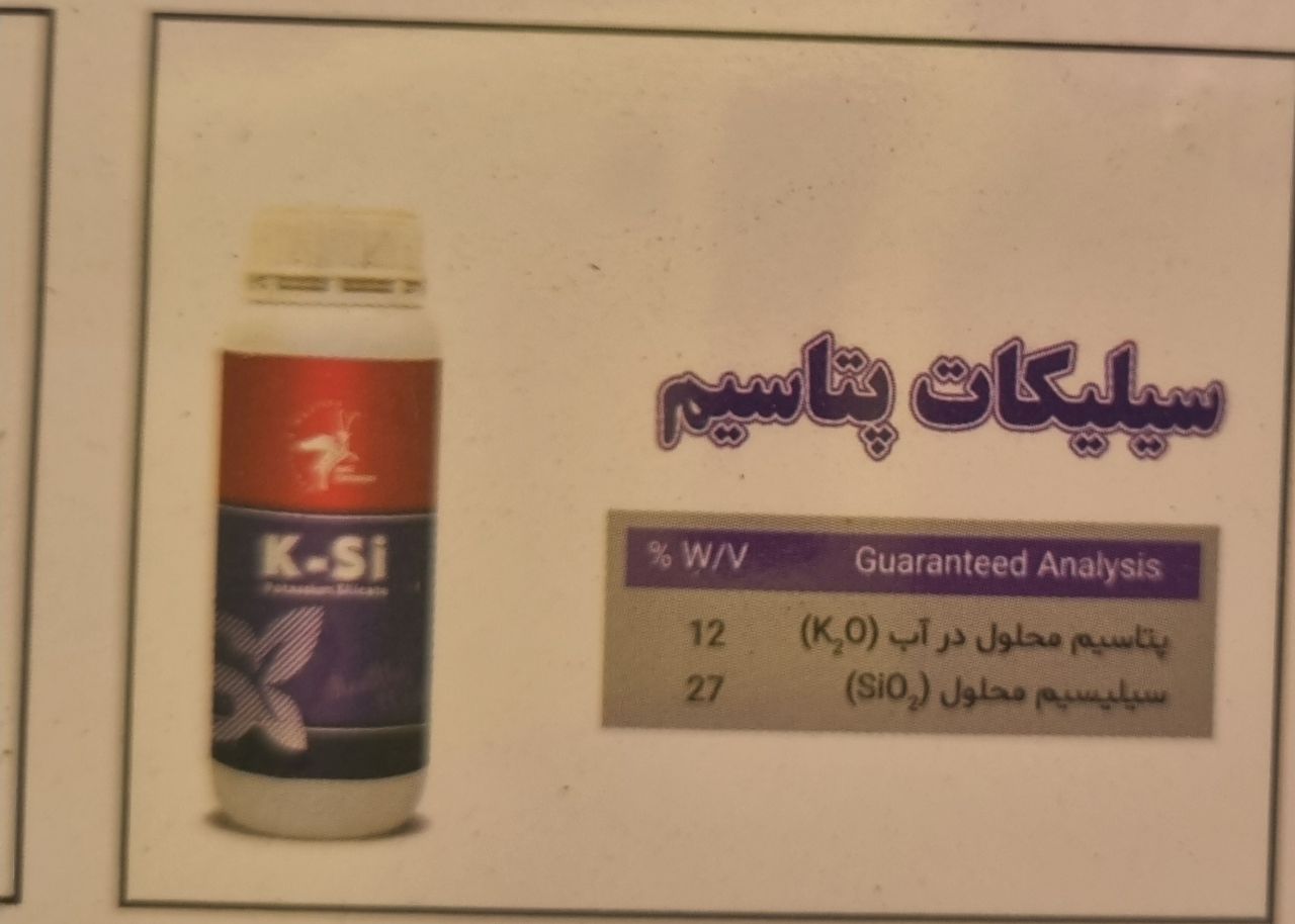 سیلیکات پتاسیم فروش فوق العادہ