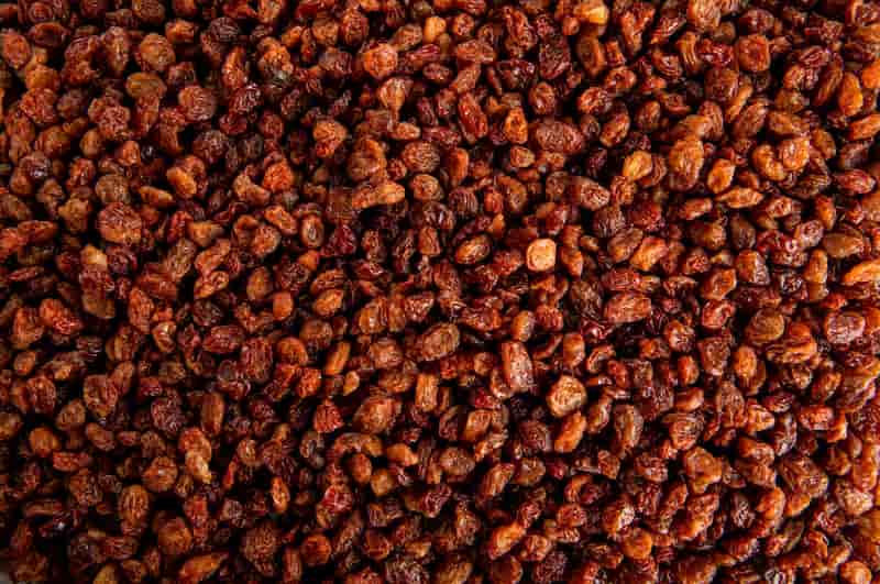 کشمش آفتابی بی دانه مناسب بسته بندی و فروش عمده