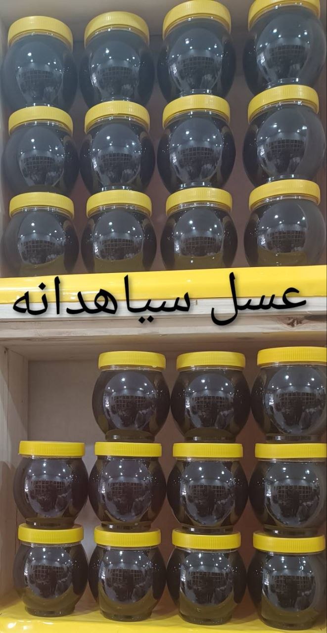 تصویر 5 از قیمت عمده فروشی عسل سیاه دانه + ارسال سریع
