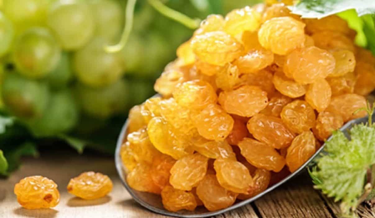 کشمش طلایی بناب با رنگ روشن برای عرضه در بازار خشکبار