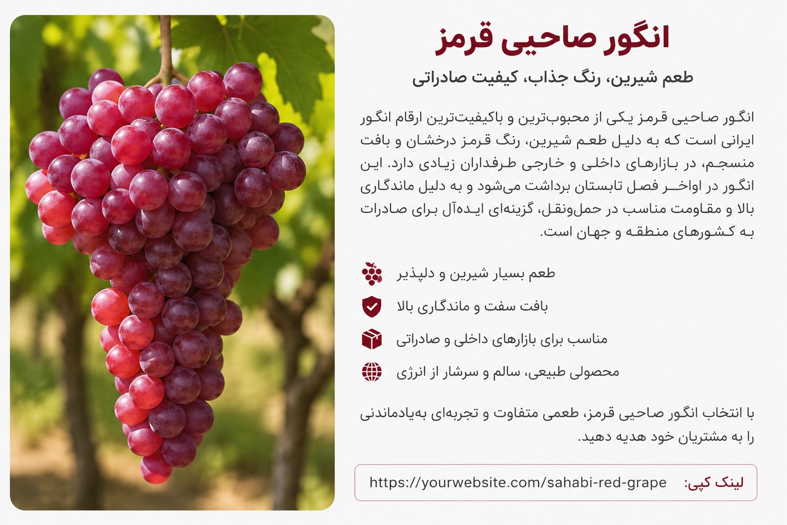انگور قرمز