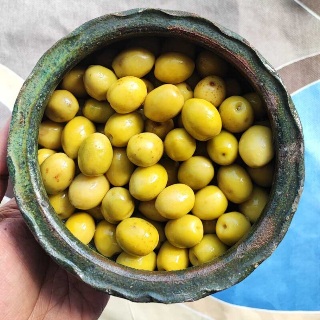 تصویر 5 از زیتون باهسته ویژه ۲۰۰ گرمی + زیتون سبز خوش طعم و باکیفیت