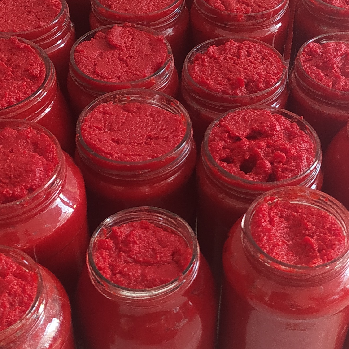 کنسرو رب گوجه فرنگی صنعتی + تامین عمده برای صنایع غذایی